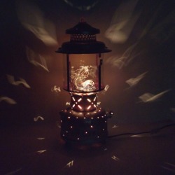 Night Lights & Fun Objects