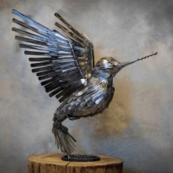 Slvr Hbird 2017ws.jpg